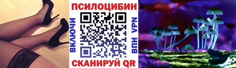 блэк спрут ONION  Мончегорск  Псилоцибиновые грибы мухоморы 